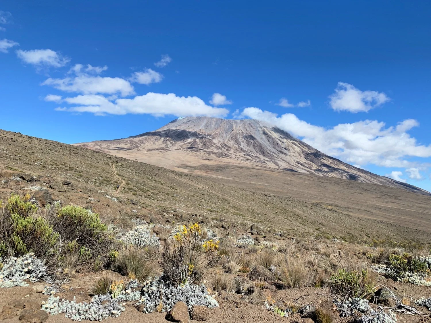 Climbing Mount Kilimanjaro Lessons — Colorado Hikes and Hops